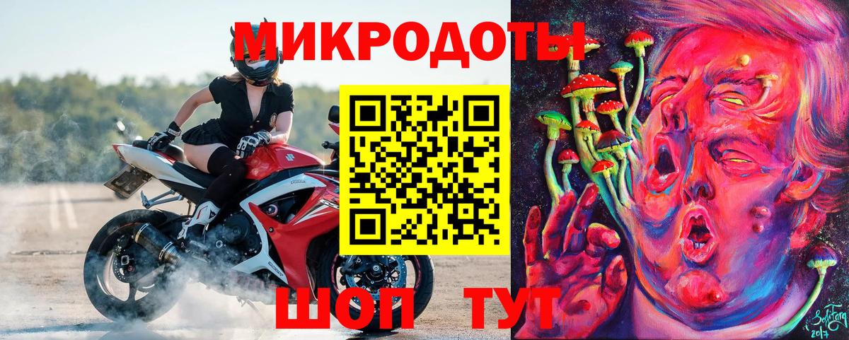 Галлюциногенные грибы Psilocybe  Вход с VPN  Елабуга 